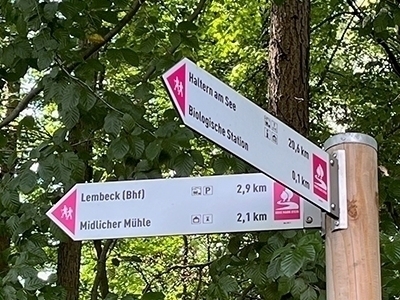 Wegweiser Hohemark-Steig